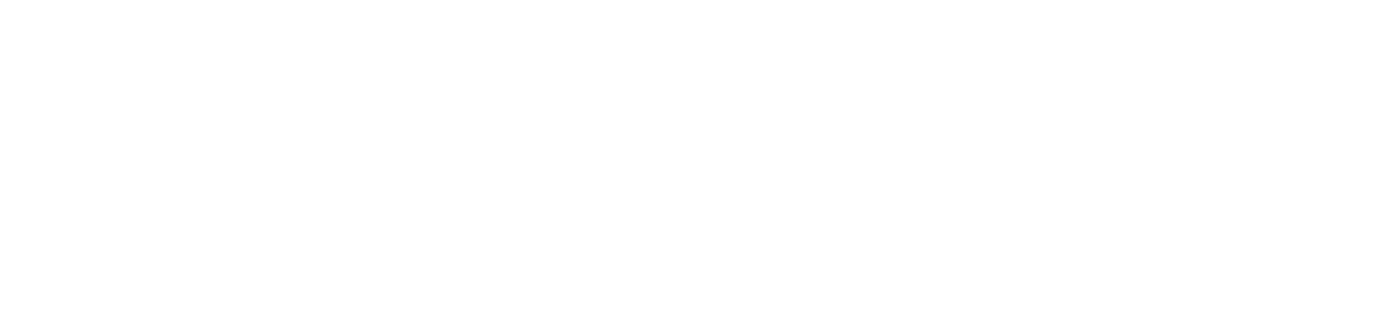 NTSPL